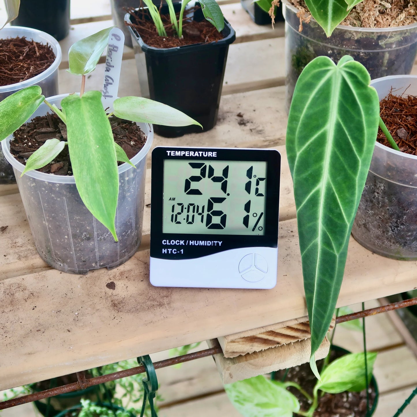 Digital Temperature & Humidity Thermometer
